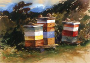 Shaker Bee Boxes