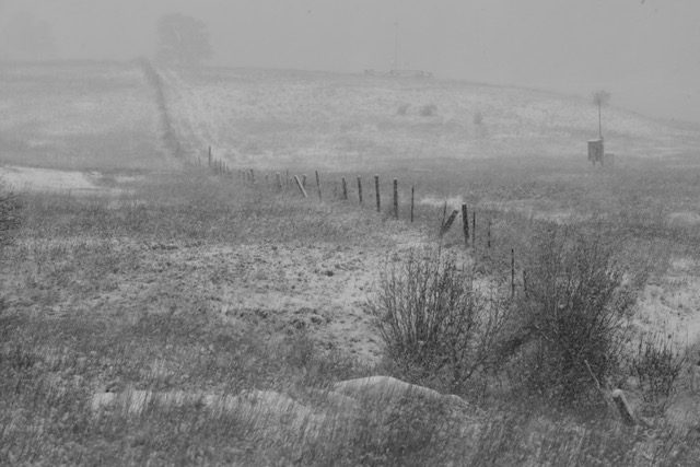 Border Line