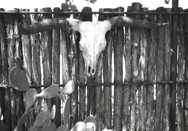Buckeye’s Fence