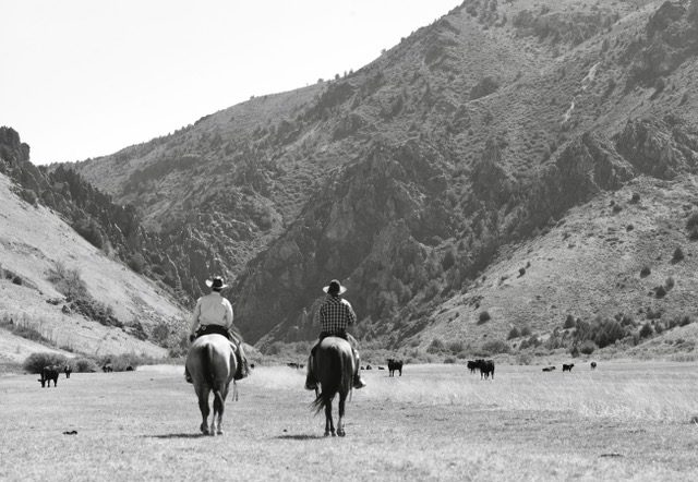 IL Pasture