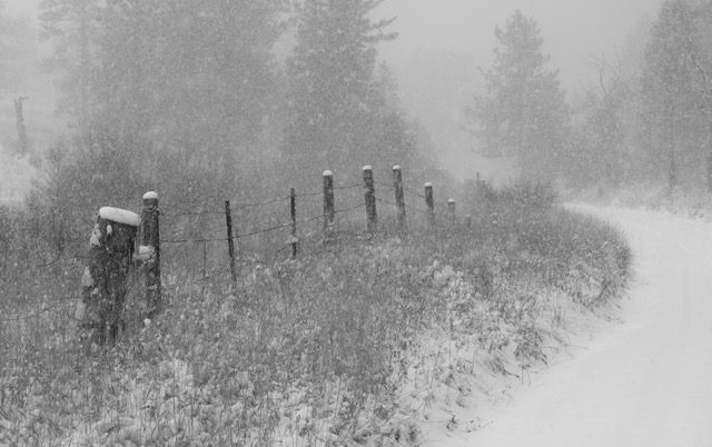 Snow Fence