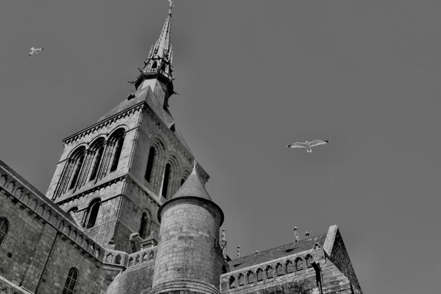 Soaring