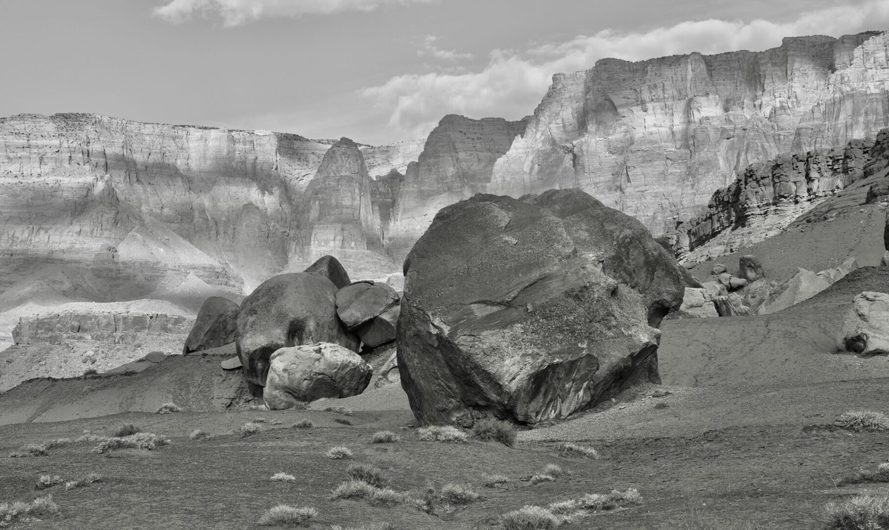 Arizona Boulder Field